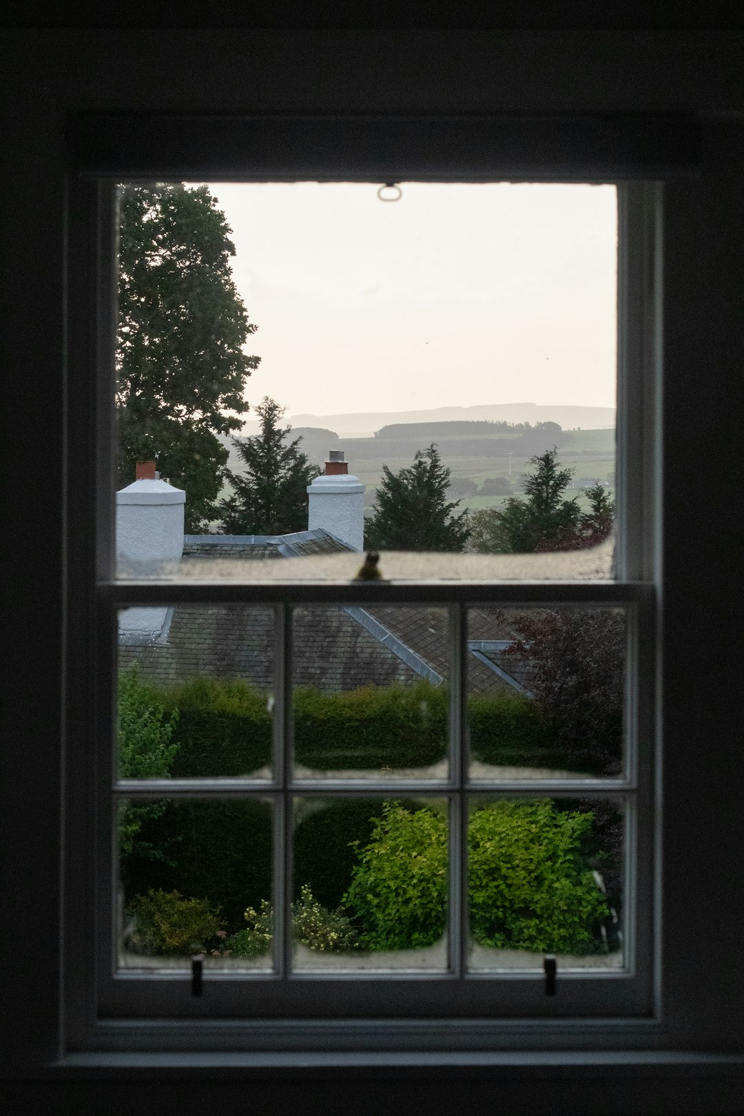 Picture of a glass window overlooking a neighborhood