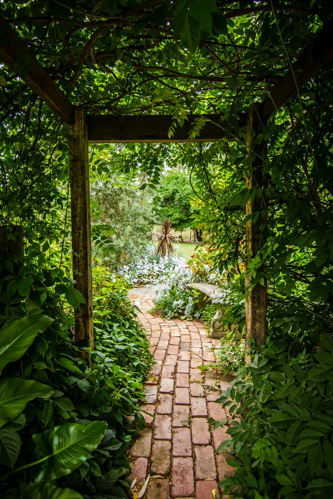 Picture of a garden path under a trellis